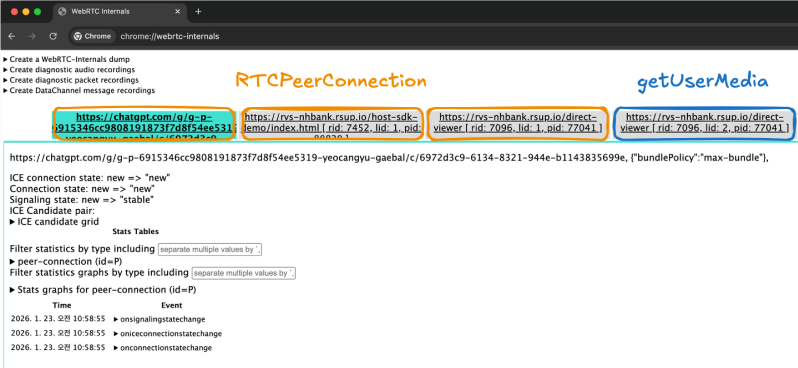 chrome://webrtc-internals 화면