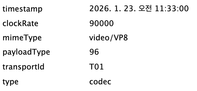 코덱 정보 확인